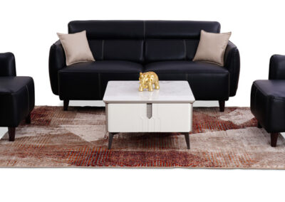 CAZ-208 sofa set(3+1+1)