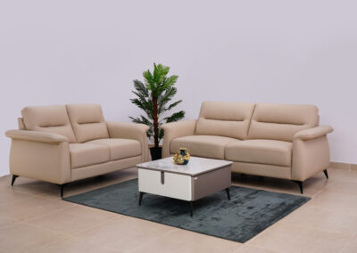 CAZ-EC-115 sofa set(3+2)